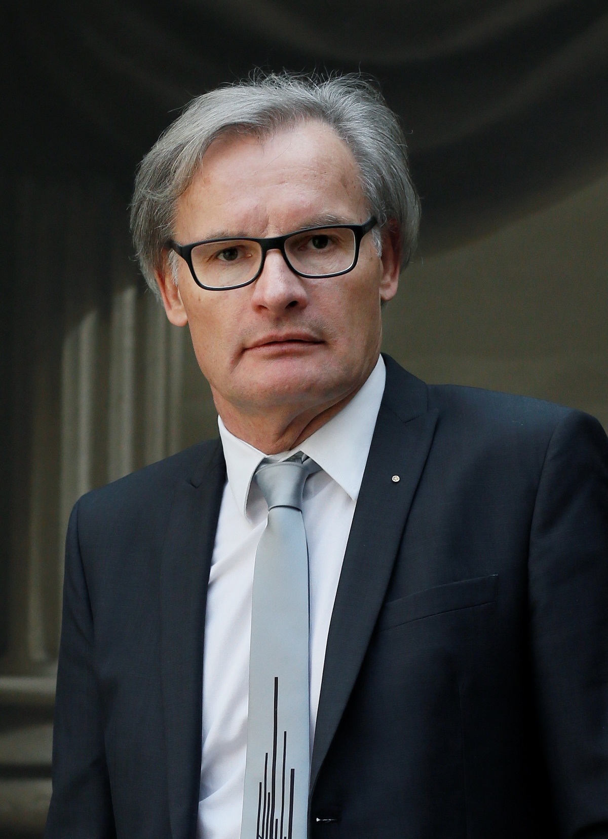 DS Meža
